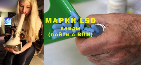 apvp Алзамай
