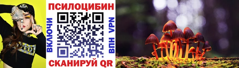 цена наркотик  Дзержинск  KRAKEN ТОР  Псилоцибиновые грибы прущие грибы 